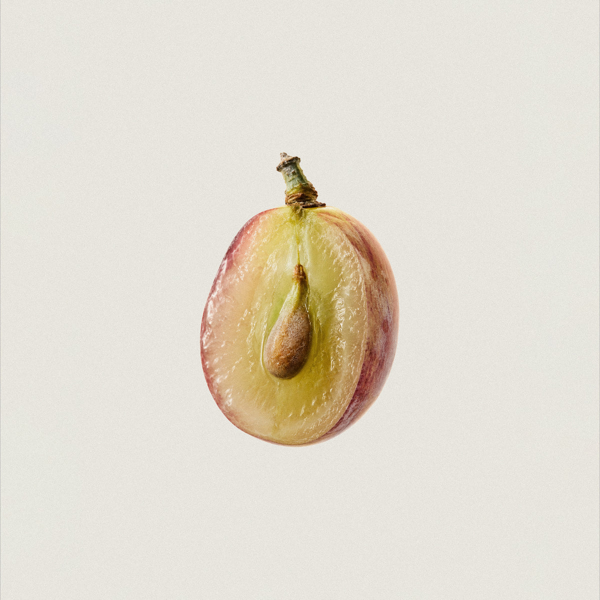 Grape Seed Extract