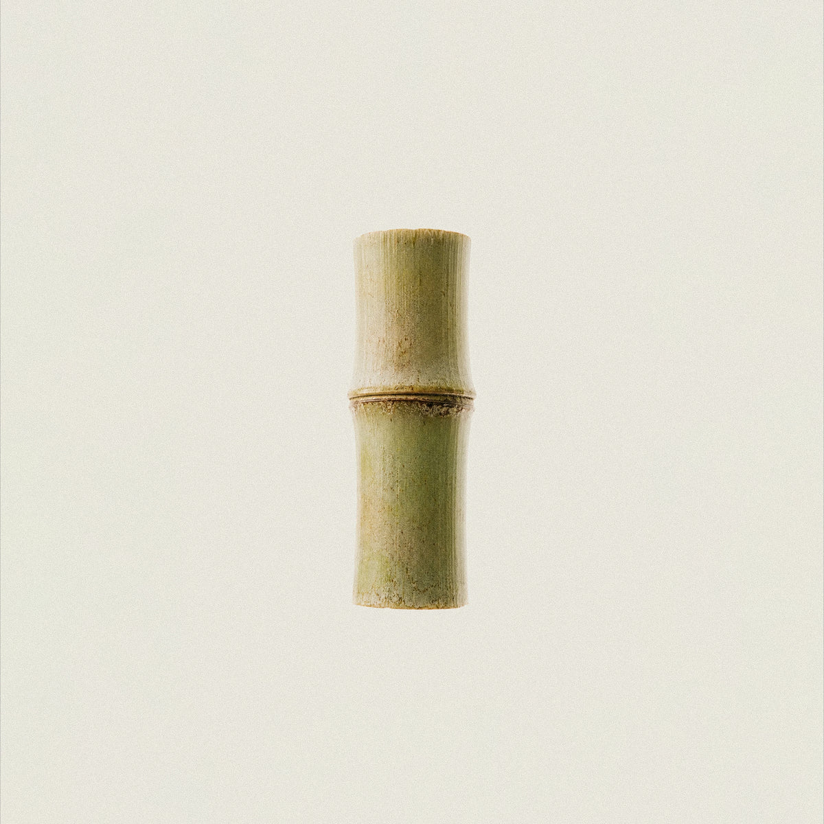 Bamboo Silica